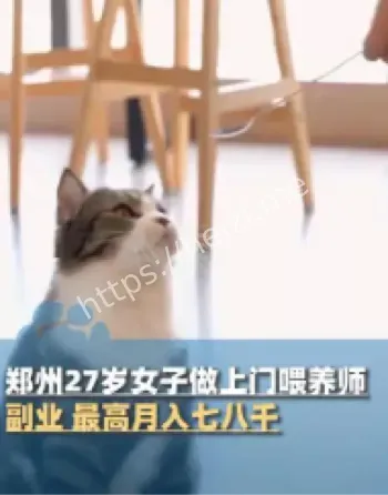 90后上门喂养师