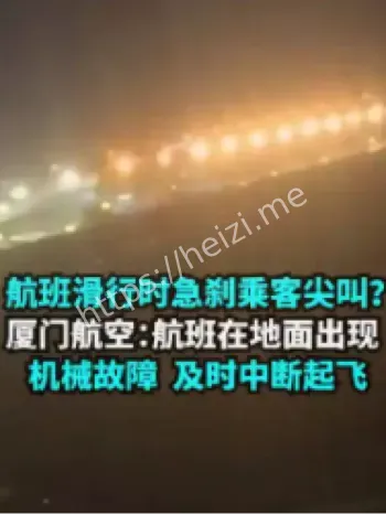 厦航航班机械故障